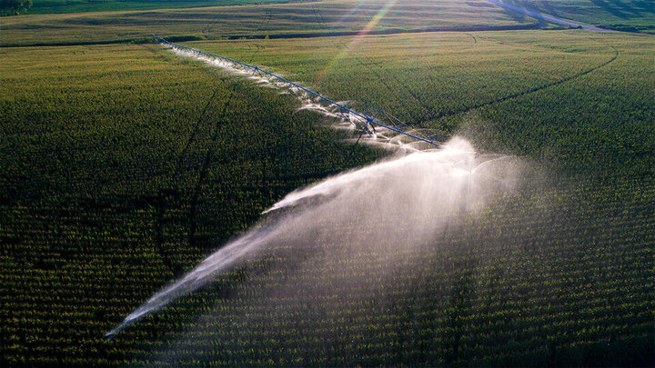 Center pivot irrigation applying water to green field