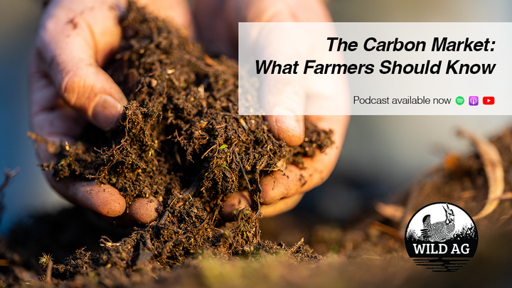 Hands holding and breaking apart a handful of dark, rich soil, with overlaid text reading “The Carbon Market: What Farmers Should Know” and the Wild Ag podcast logo in the corner.