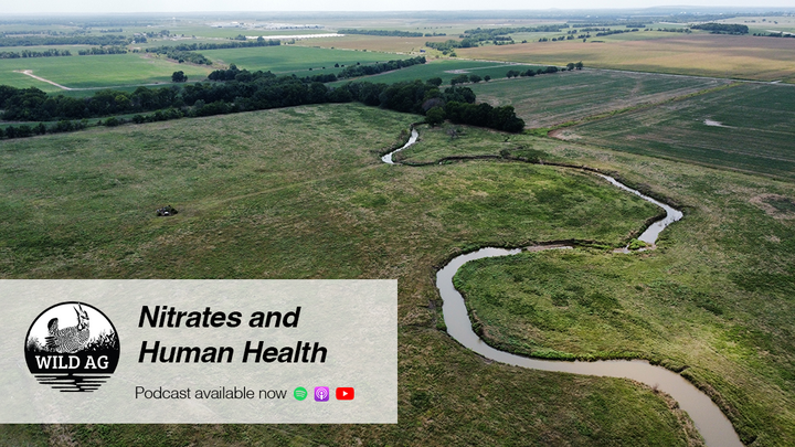 Aerial view of Nebraska farmland with a winding stream running through grassland and crop fields. Overlaid graphic includes the Wild Ag podcast logo and text that reads “Nitrates and Human Health — Podcast available now” with platform icons for Spotify, Apple Podcasts, and YouTube.