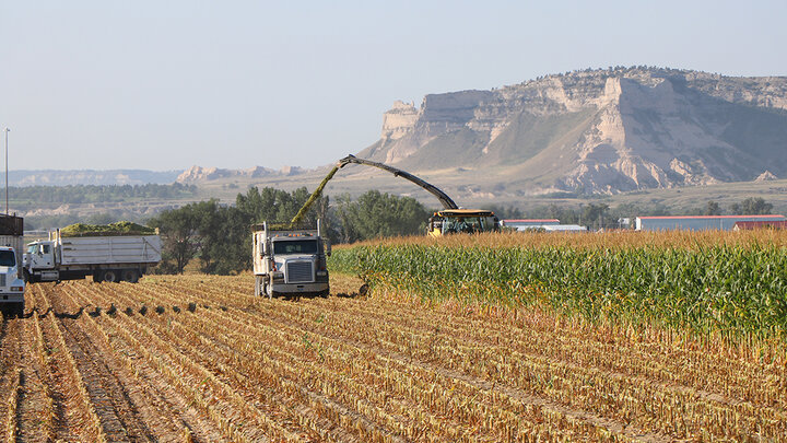 Silage corn harvest near Scotts Bluff National Monument, with forage harvester filling trucks in a Nebraska Panhandle field.