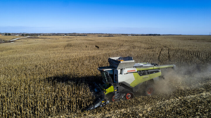 harvester in corn field