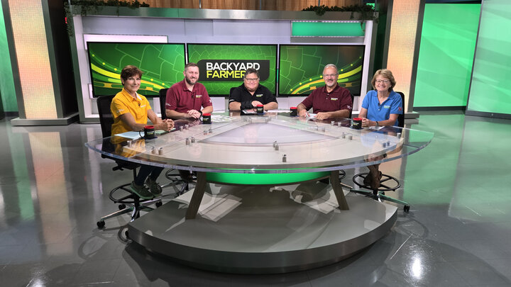 Two women and three men sit at the desk on the "Backyard Farmer" set.