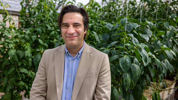man posing with plants in background