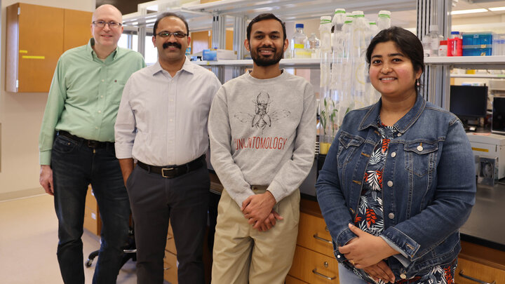 Researchers (from left) Scott Sattler, Joe Louis, Sanket Shinde and Pritha Kundu pose in a lab.