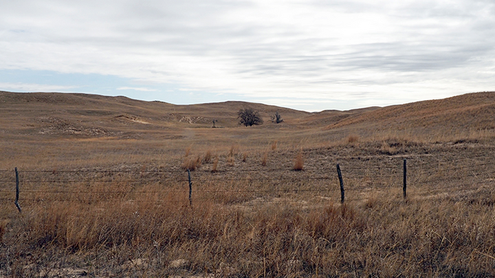 Grassland with rolling hills, sparse trees, dry vegetation, and a weathered fence under a cloudy sky.