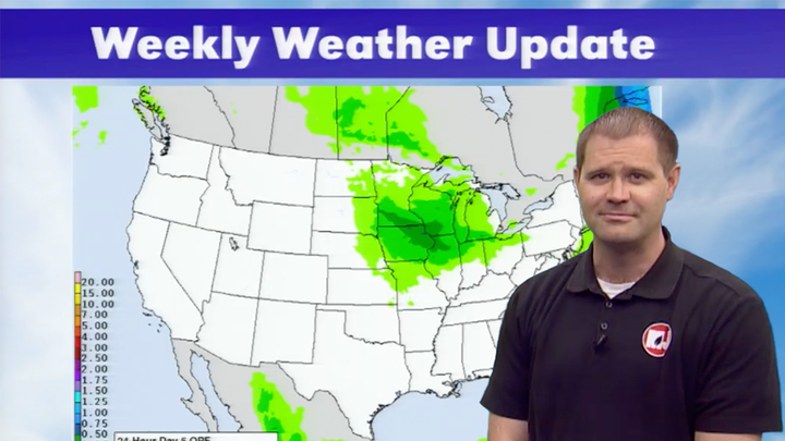 Weekly weather forecast map with green-highlighted precipitation areas.