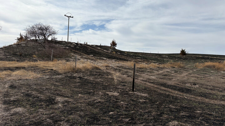 A power line is seen running through a scorched field on a cloudy day.