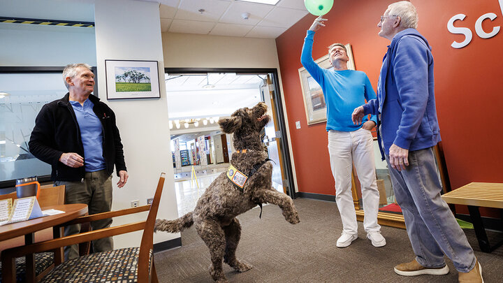 A dog jumps at a balloon in the School of Natural Resources.