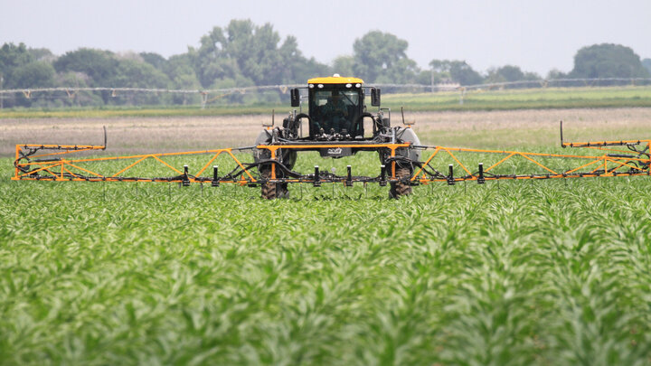 tractor applying nitrogen to corn field