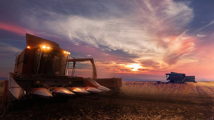 combine harvests corn at sunset, unloading grain into a cart under a sky streaked with pink and orange clouds.