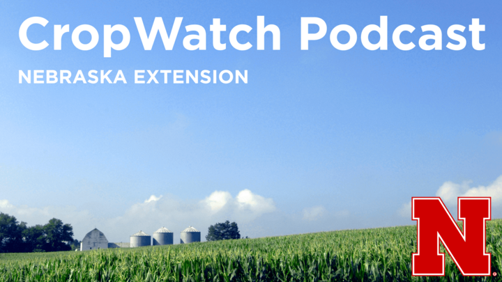 image of corn field and farm under bright blue sky with the text CropWatch Podcast Nebraska Extension and the University of Nebraska logo overlaid at top and bottom