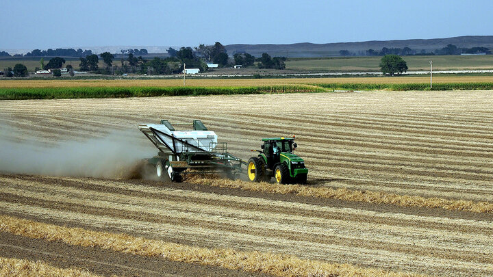 Combine rolls through dry beans during harvest in the Nebraska Panhandle