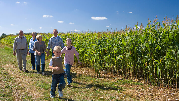 A three-generation farm family walks together along the side of a corn field on a bright summer day