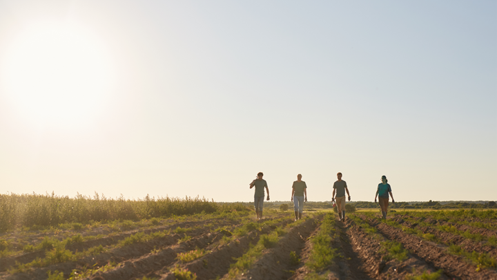 farm workers walk field