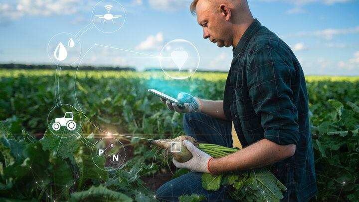 Farmer uses tablet to analyze crop data in a field, illustrating precision agriculture and smart farming technology.