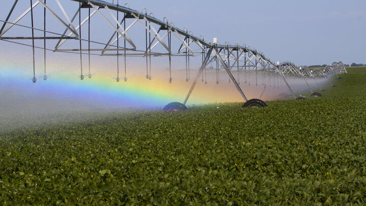 A center pivot irrigates a lush soybean field and a rainbow develops in the mist below the sprinklers