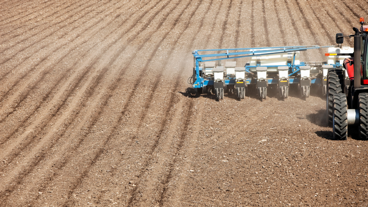 tractor planting field of corn