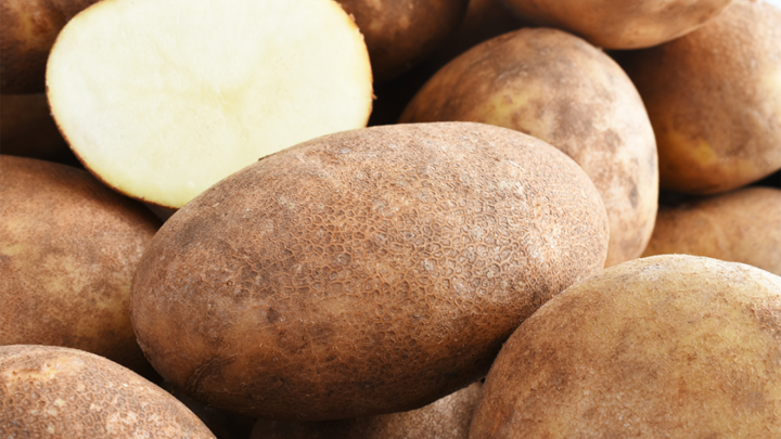 russet potatoes in a pile