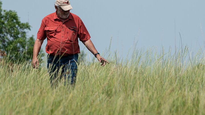 man walks in tall grass field