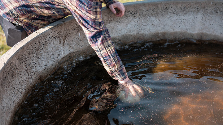 A person in a plaid shirt reaches into a livestock water tank to check the water condition.