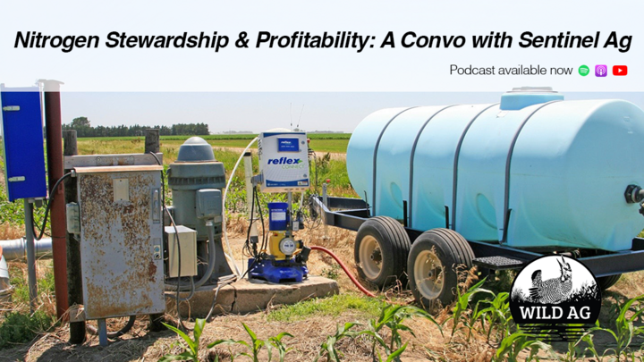 Blue nitrogen tank and fertigation system set up at the edge of a cornfield, illustrating on-farm nitrogen management practices.