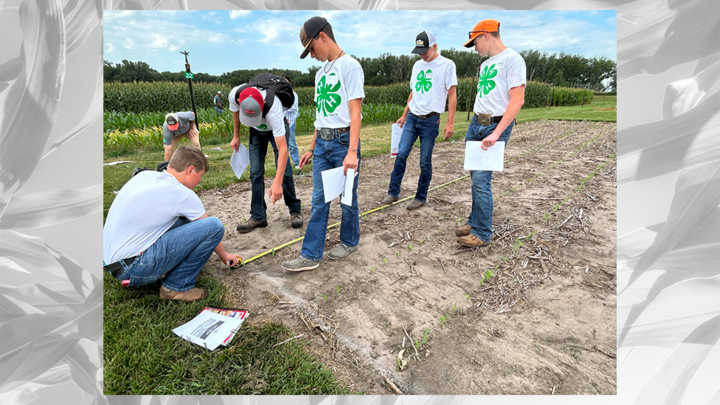 children measuring plot of soil