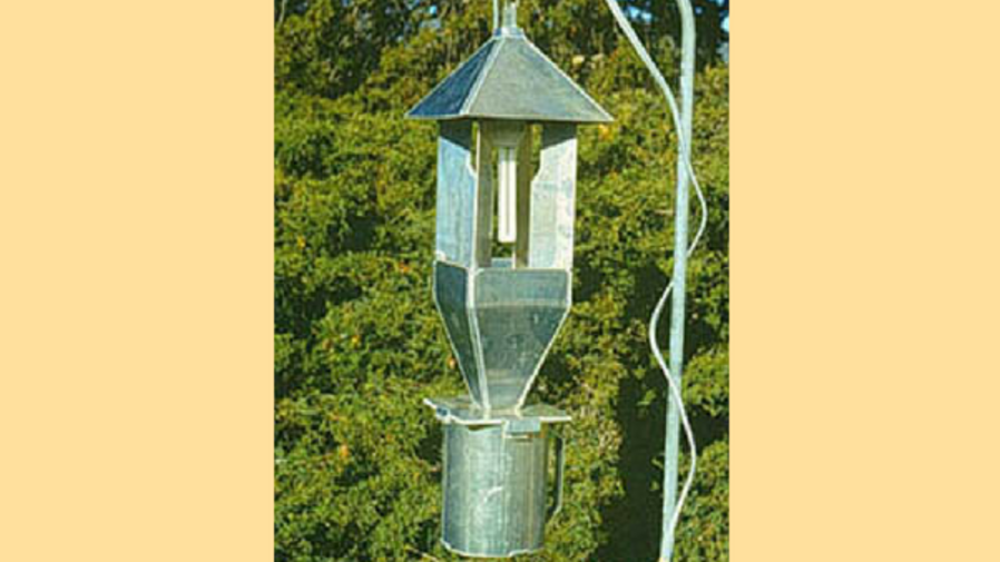 Insect Light Trap Data Available for 3 Sites | CropWatch | Nebraska