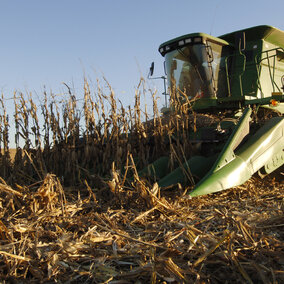 Harvest