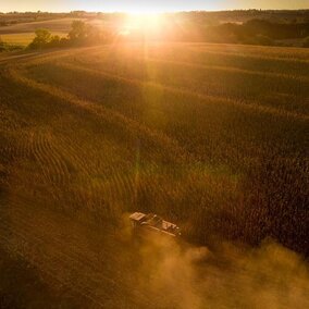 Harvest at sunset 