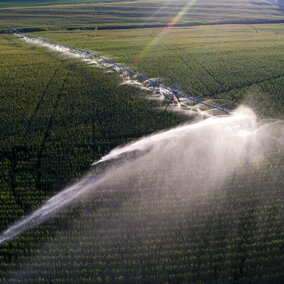 aerial view of center pivot irrigation in a field of corn