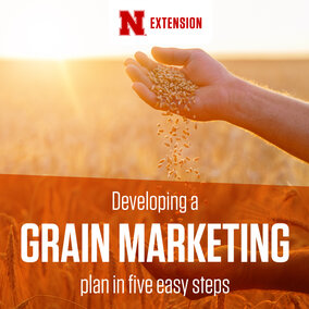 Grain Marketing graphic