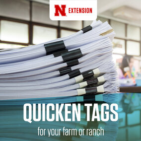 Illustration for Quicken tags