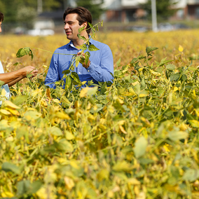 Researchers NicolÃ¡s Cafaro La Menza (left) and Patricio Grassini examining progress of soybean in the field.