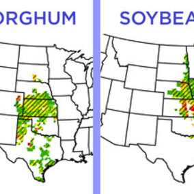 Changes in crop yield due to shifts in temperature and precipitation from 2968 to 2013