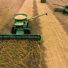 combines harvesting soybeans