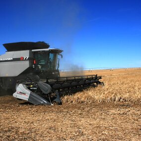 Combining dry beans in western Nebraska