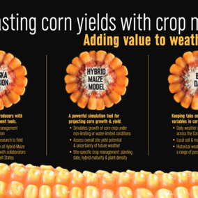 Using Corn Yield Forecasts, an IANR exhibit at 2016 Husker Harvest Days (HHD)