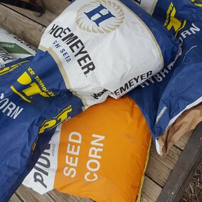 Bags of corn seed