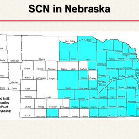 Nebraska map showing counties where soybean cyst nematode has been confirmed