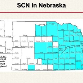 Nebraska map showing counties with SCN as of January 2017