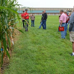 Attendees view maturing corn plants at a previous clinic.