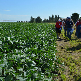 Attendees at the 2016 Soybean Management Field Day