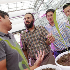 Harkamal Walia discusses an experimental plan for the grant at the High Throughput Phenotyping facility 