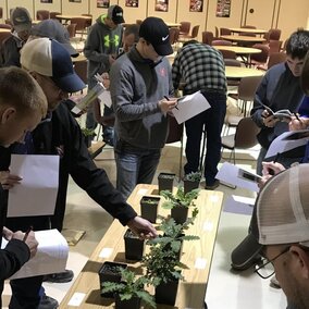 Photo of crop scout training in a previous year