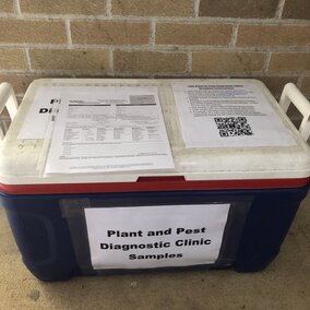 submission cooler outside the plant and pest clinic