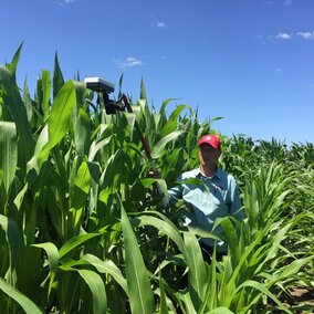 farmer in corn field