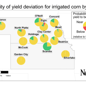 graph showing probability of yield deviation for irrigated corn