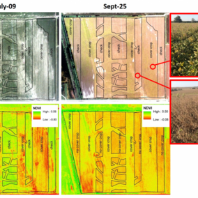 example aerial imagery