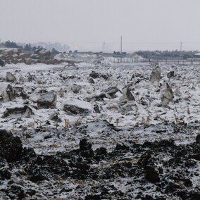 snow covered manure