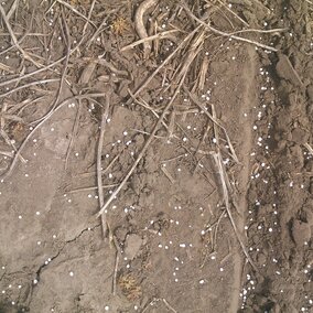 Soil in field